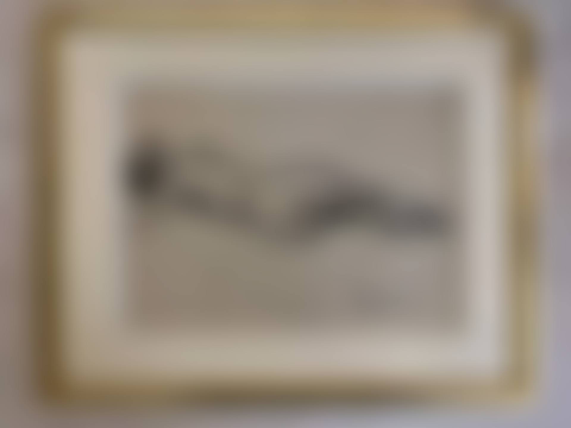 Naked woman lying down, seen from behind (preview)