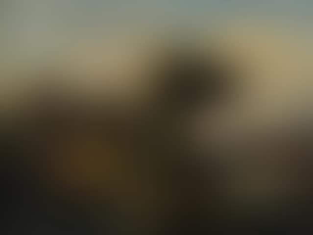 Lively landscape. (preview)