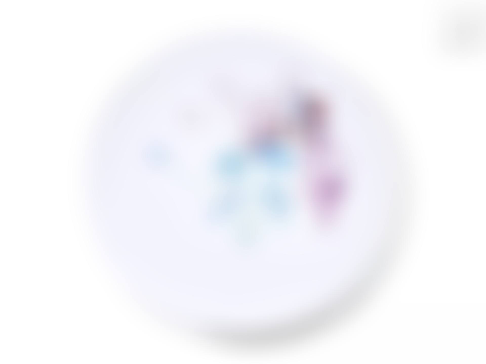 Tribute to Tou-Fou - A flower petal flies away (preview)