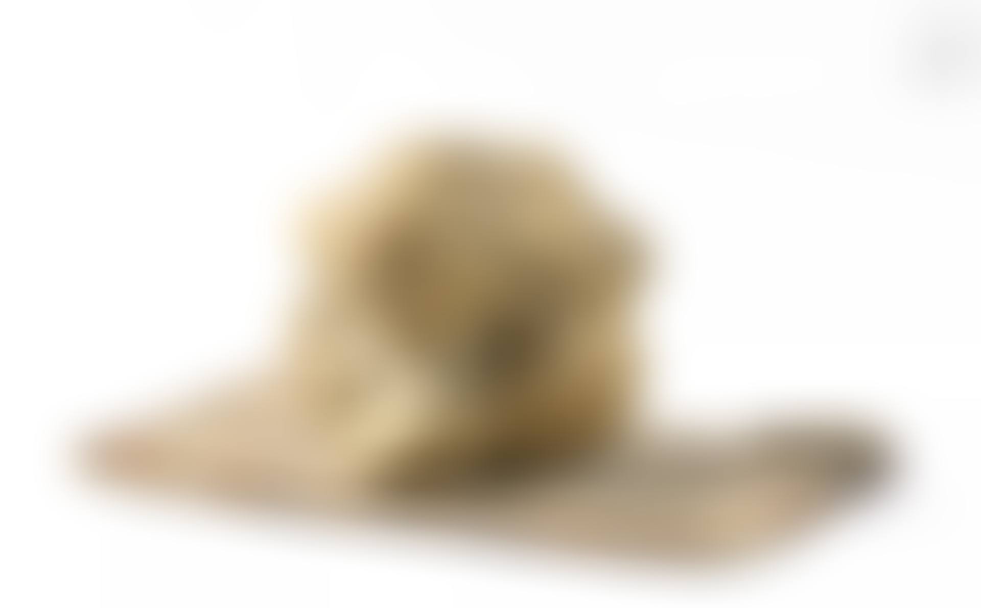 Human figure (preview)