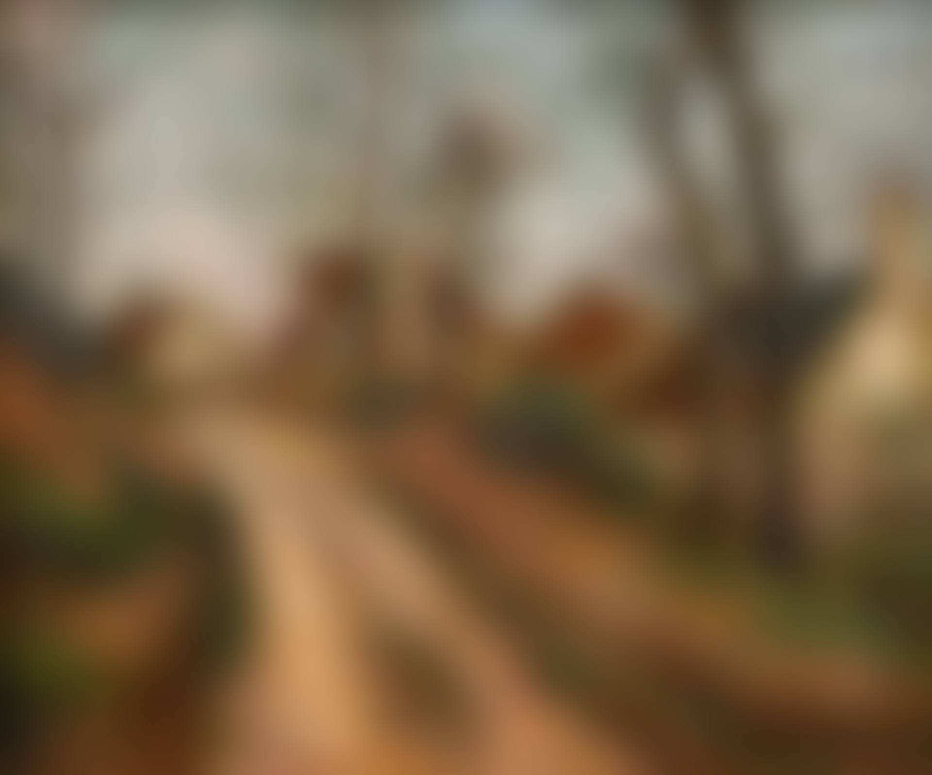 The path, Auvers sur Oise (preview)