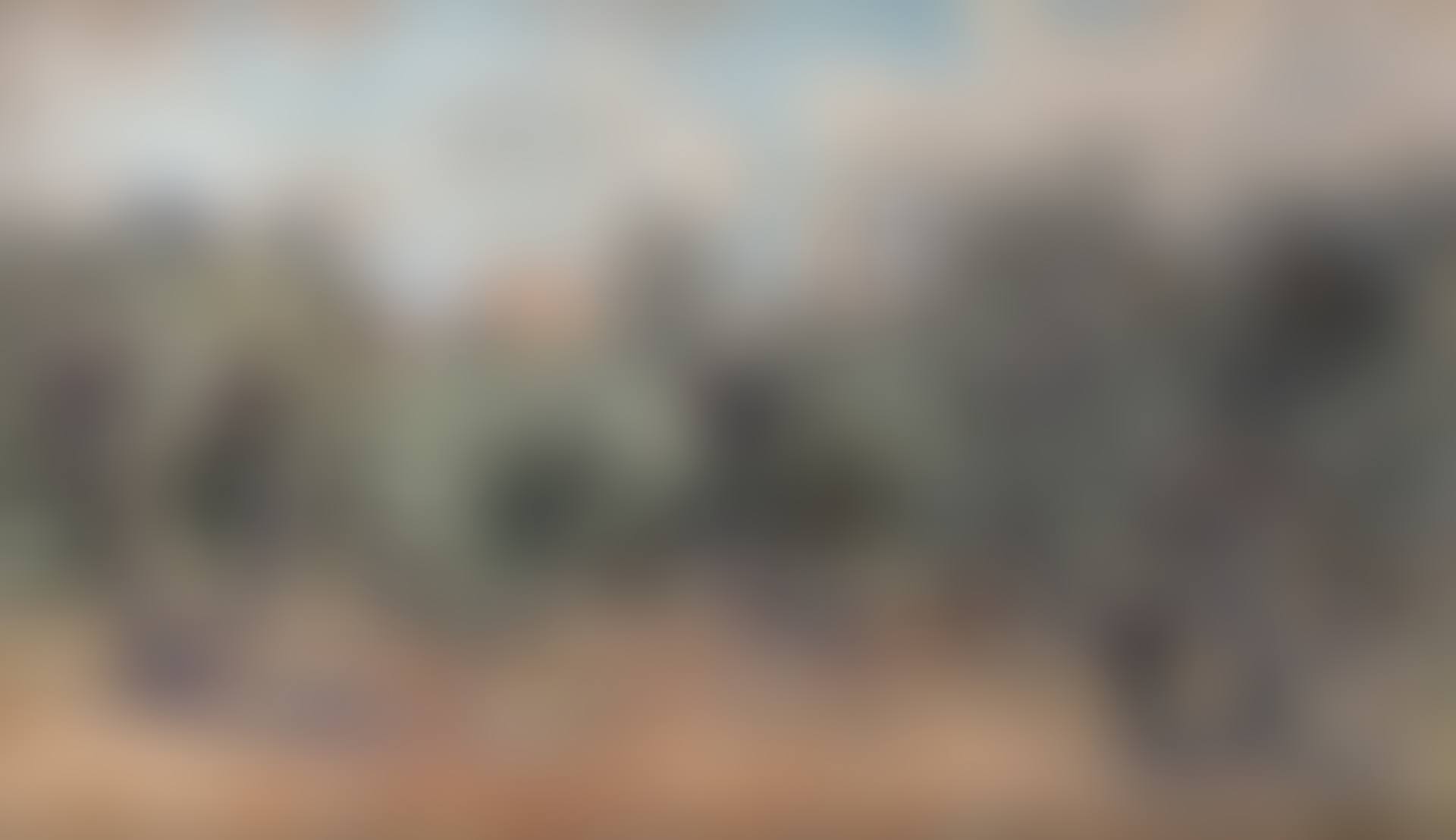 Olive trees in Saint Rémy de Provence (preview)