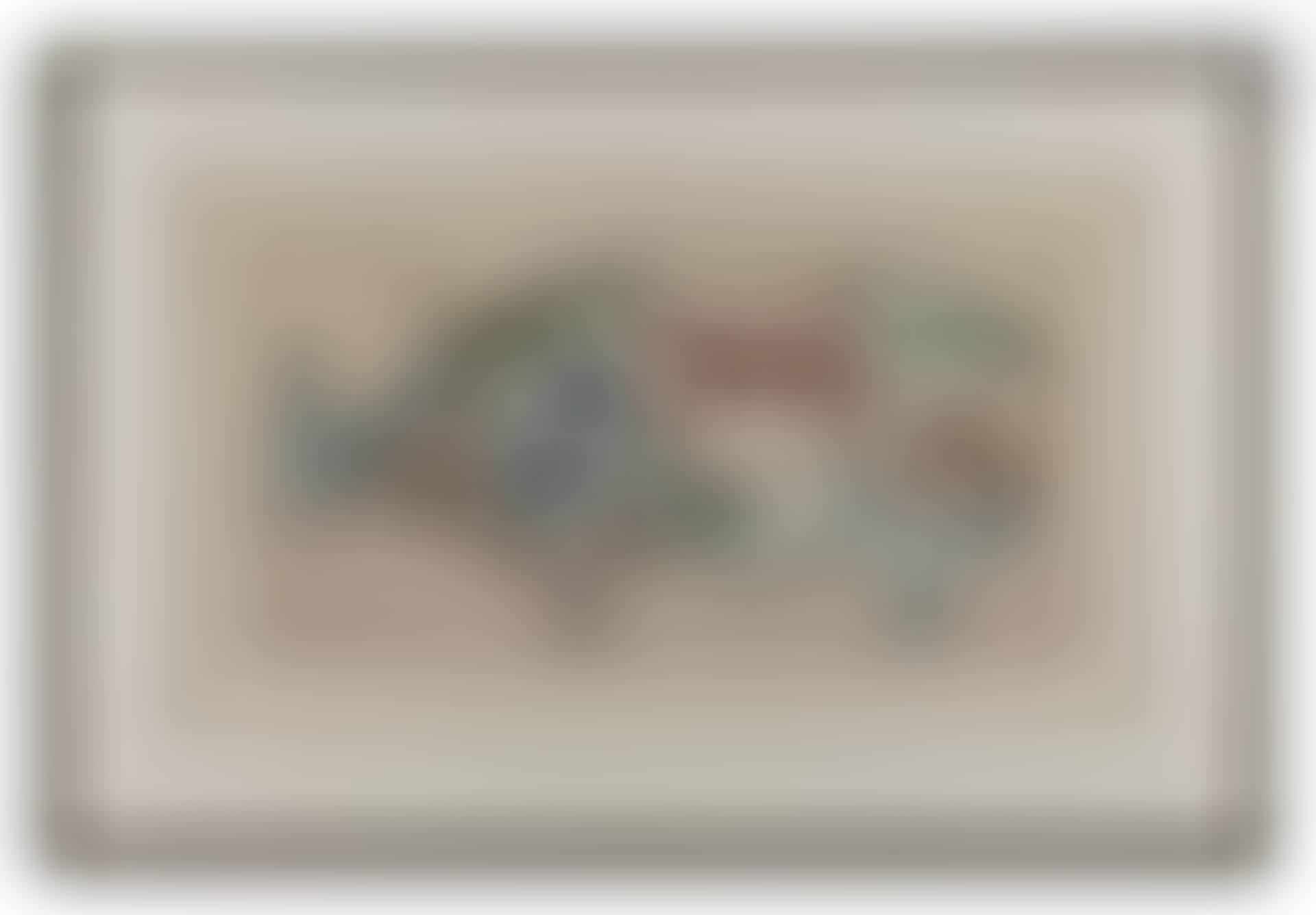 The memory of the rhinoceros (preview)