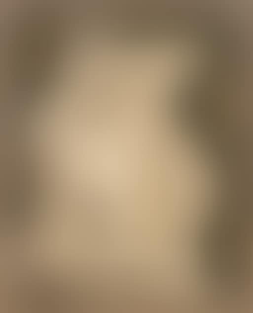 Still Life (preview)