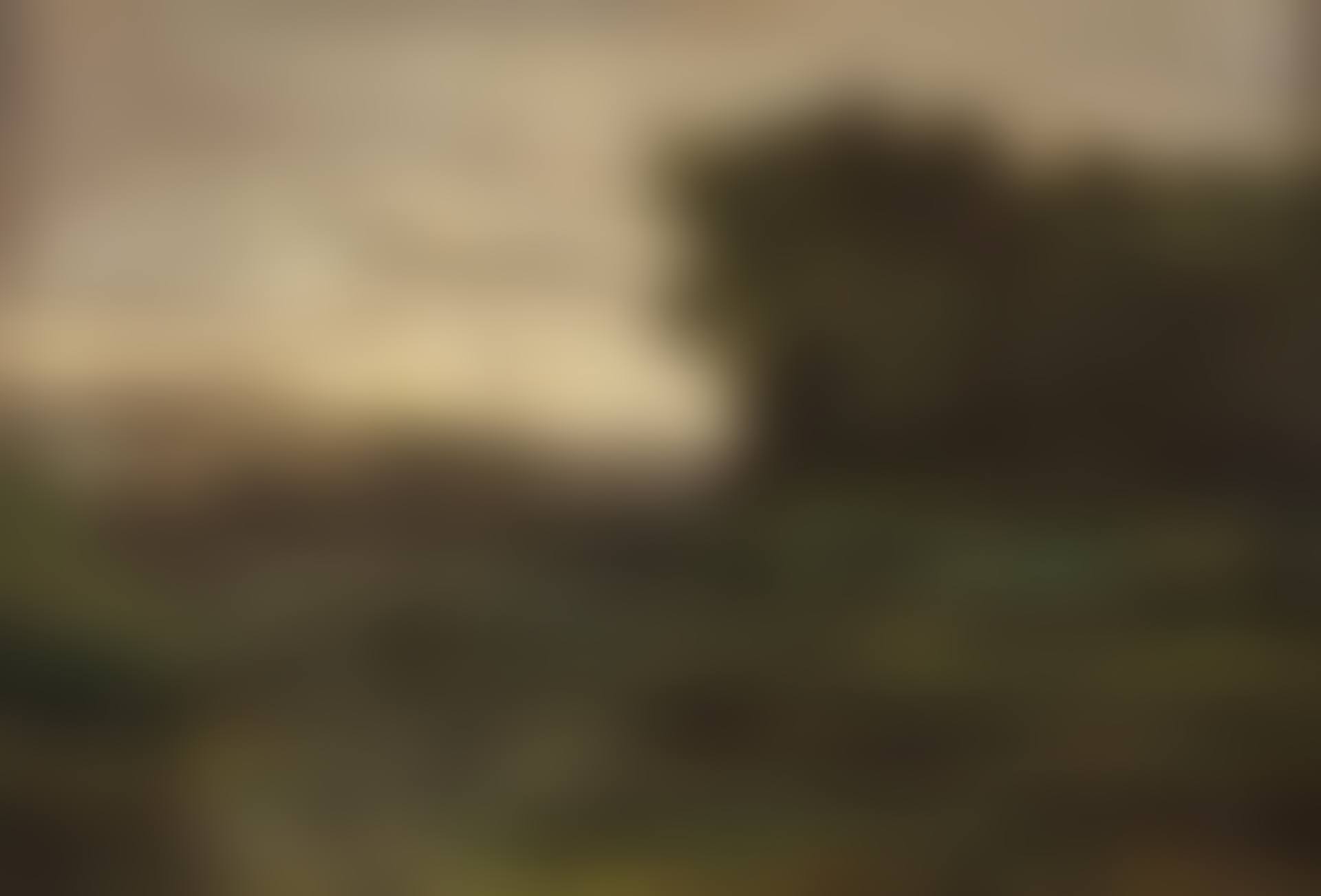 Landscape (preview)