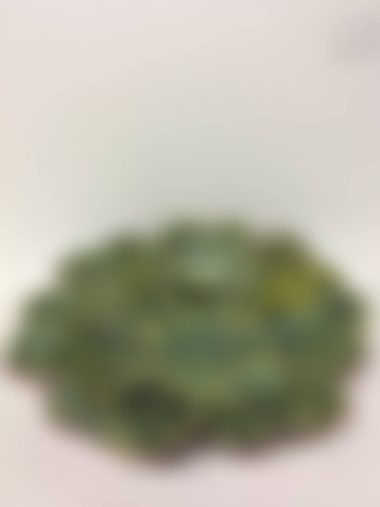 Poly-lobed polychrome enameled ceramic dish depicting lettuce (preview)