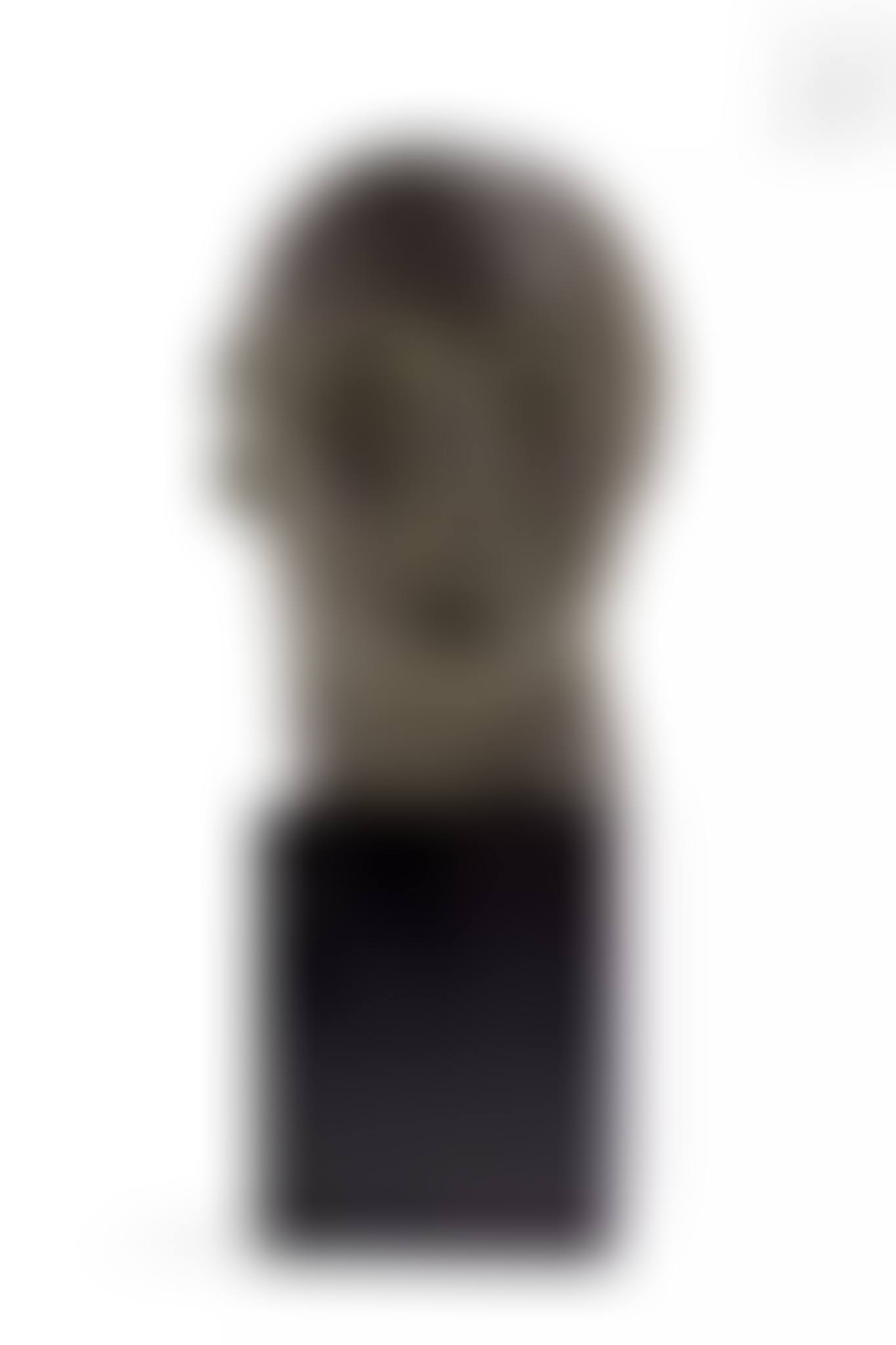 Bronze with green patina in the antique style depicting the face of a woman (preview)