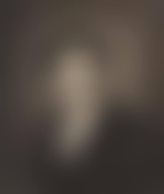 Bust portrait of a man (preview)
