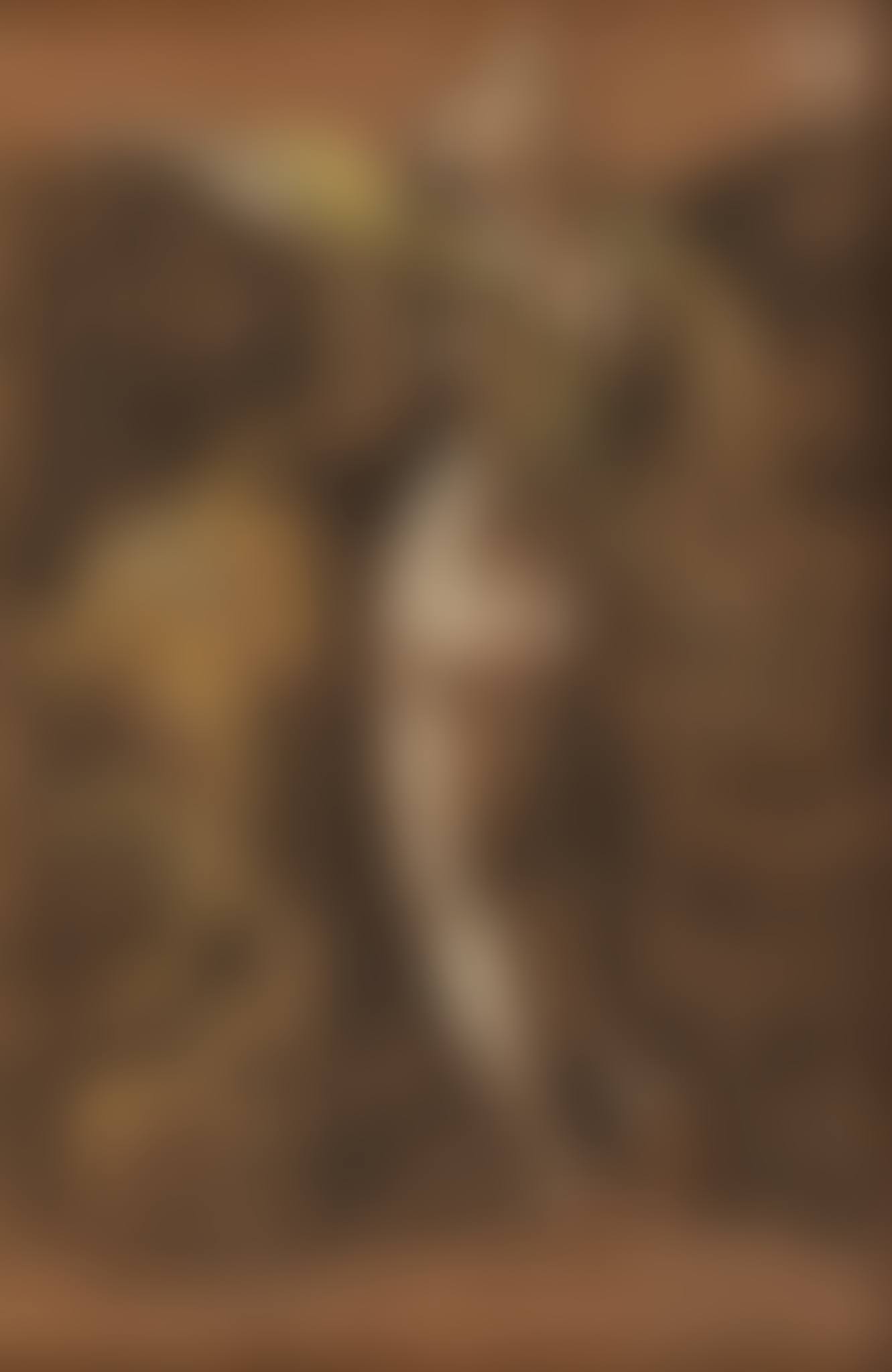 Full-length naked woman behind a screen (preview)