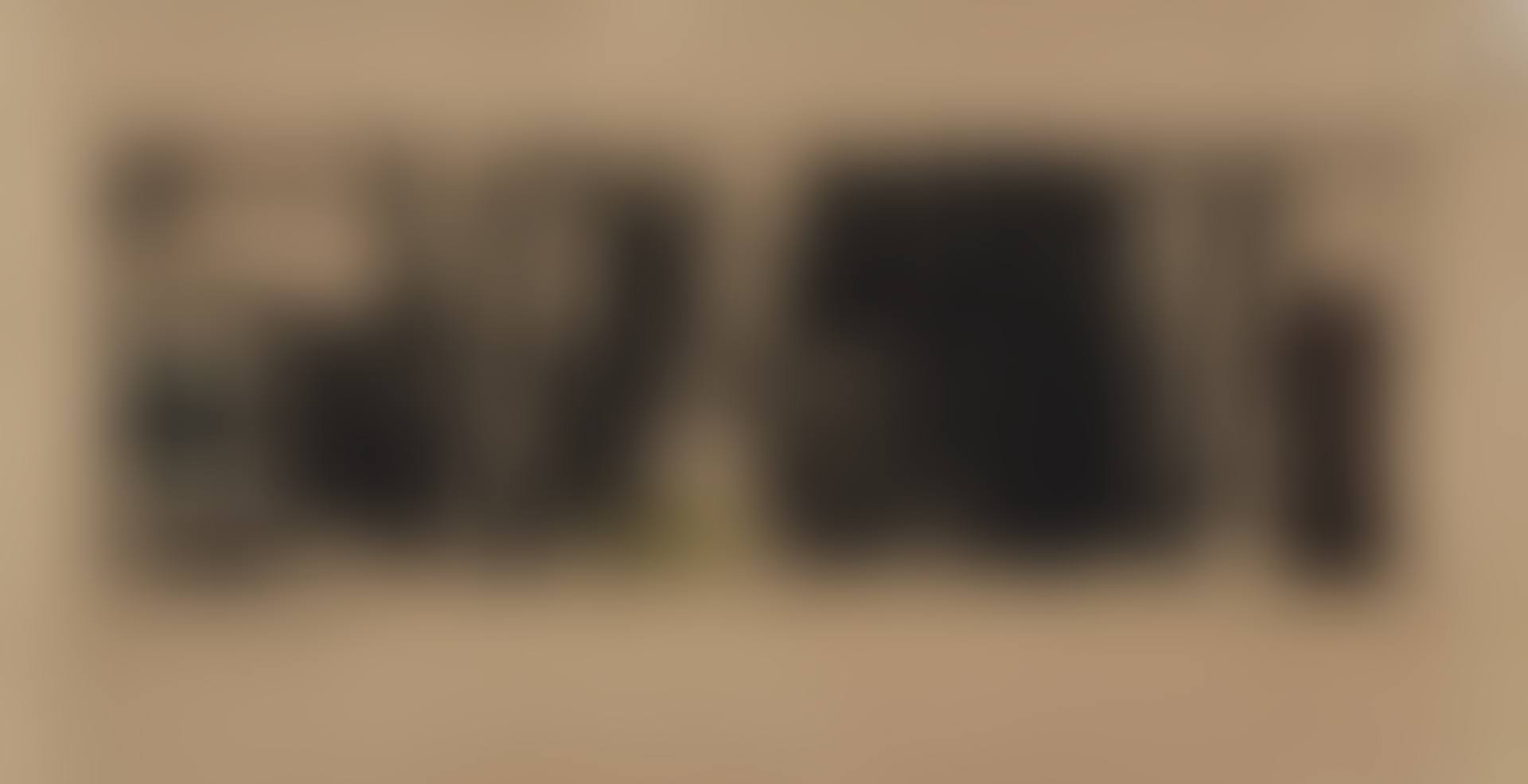 G 3 (preview)