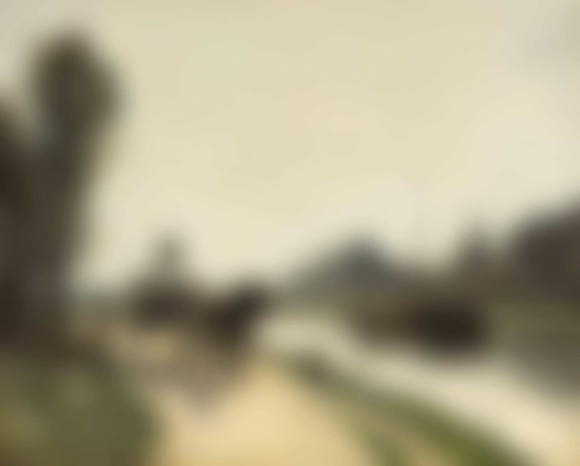 The towpath near the canal (preview)