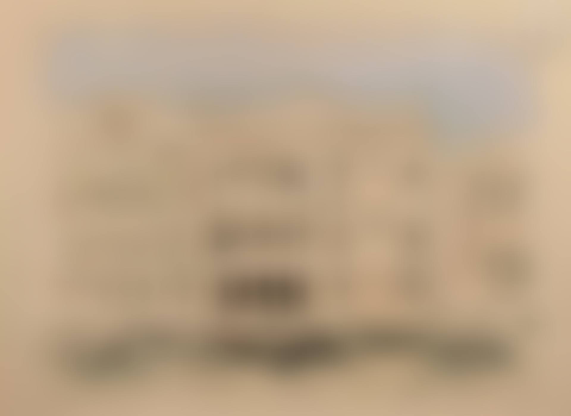Venice, the grand canal (preview)