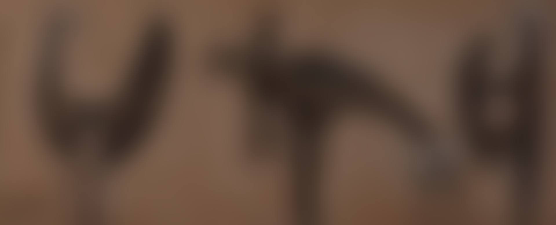 Three roosters (preview)
