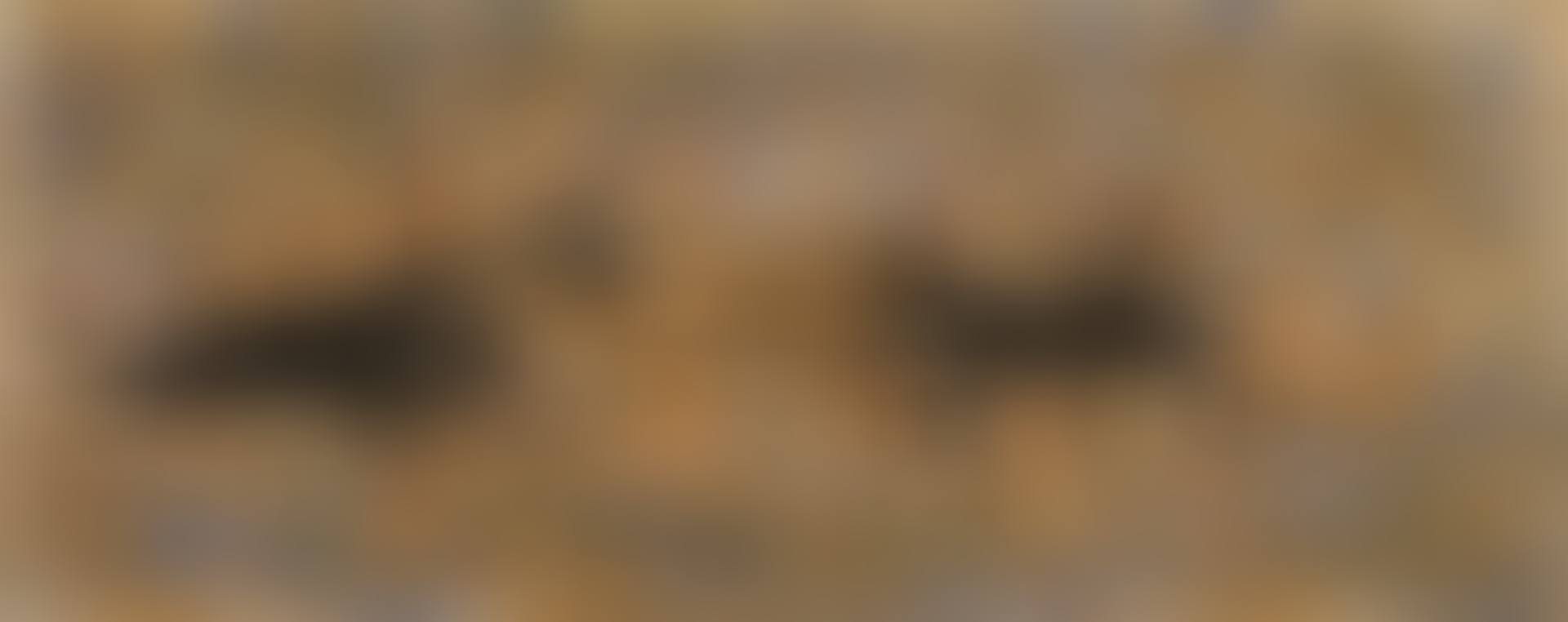 Composition (preview)