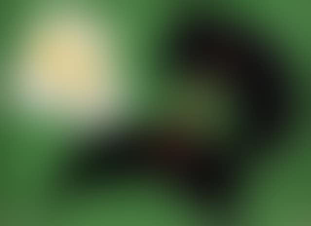 Untitled (preview)