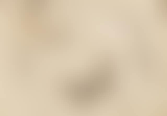 Study (preview)