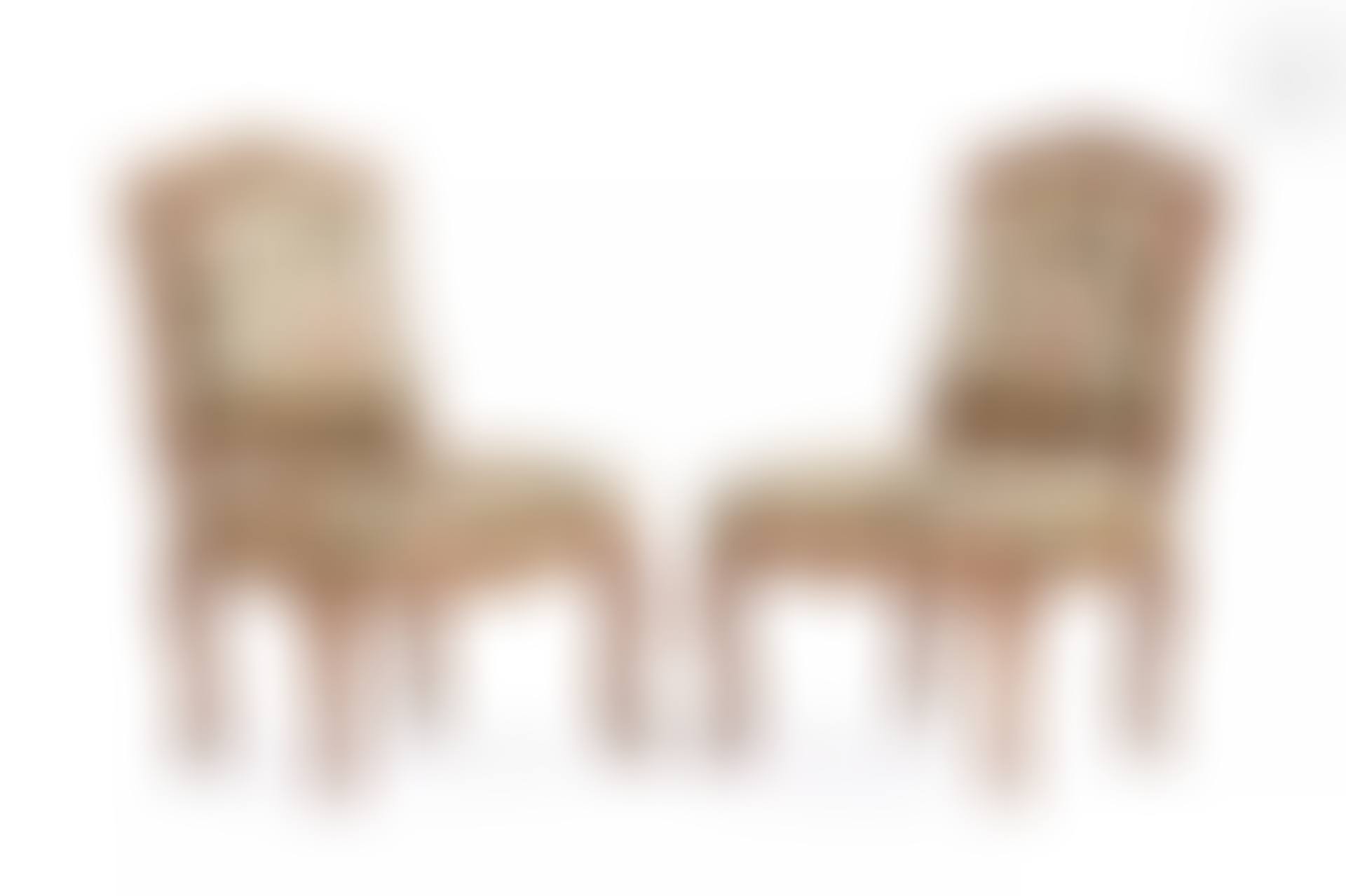 Pair of molded beech chairs (preview)