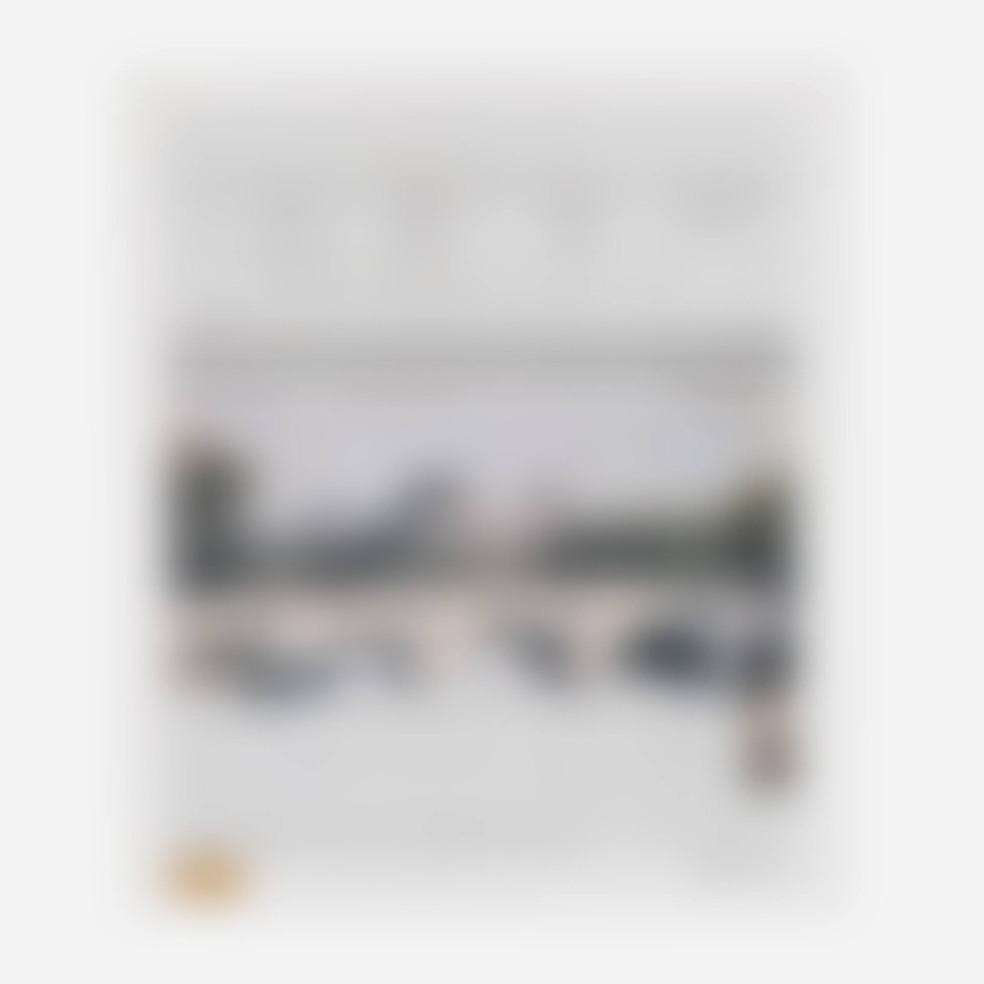 Pont Neuf Wrapped (preview)