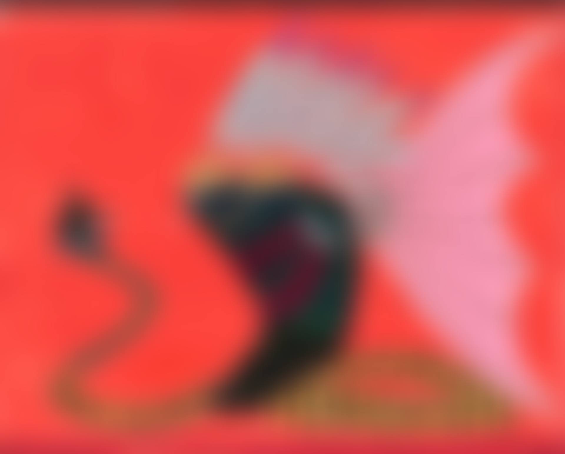 Untitled (preview)