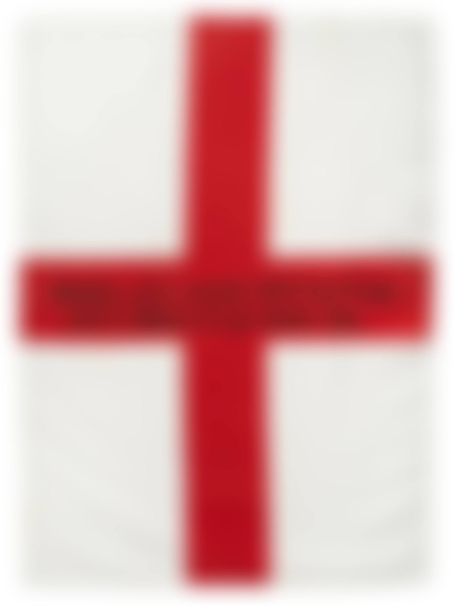 People Who Enjoy Waving Flags Don"t Deserve To Have One (preview)