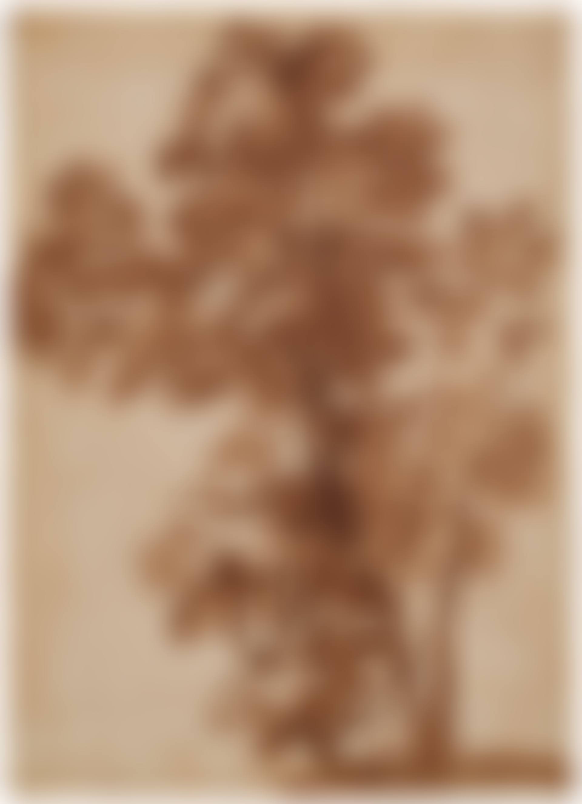 A group of trees (preview)