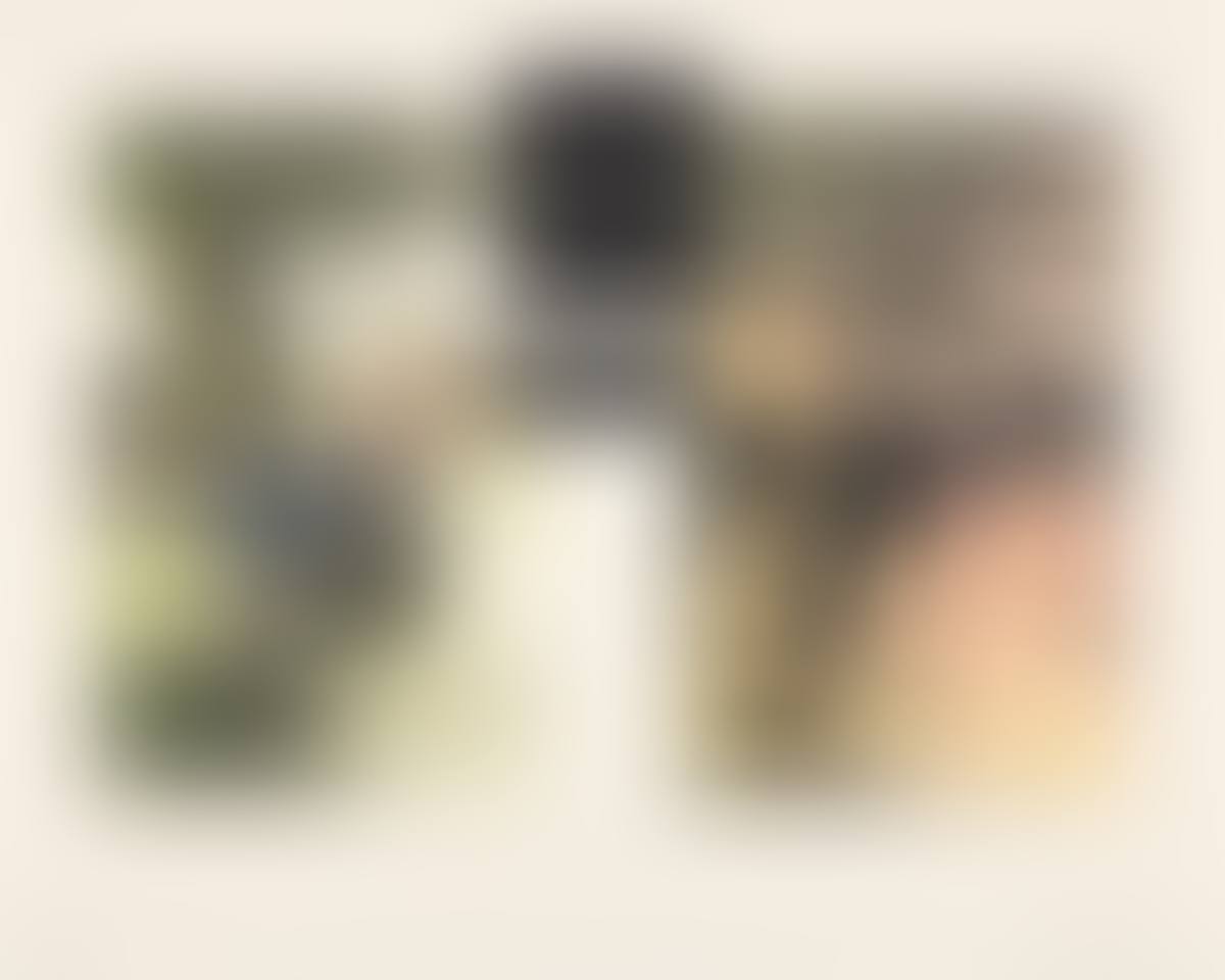 Untitled. (preview)
