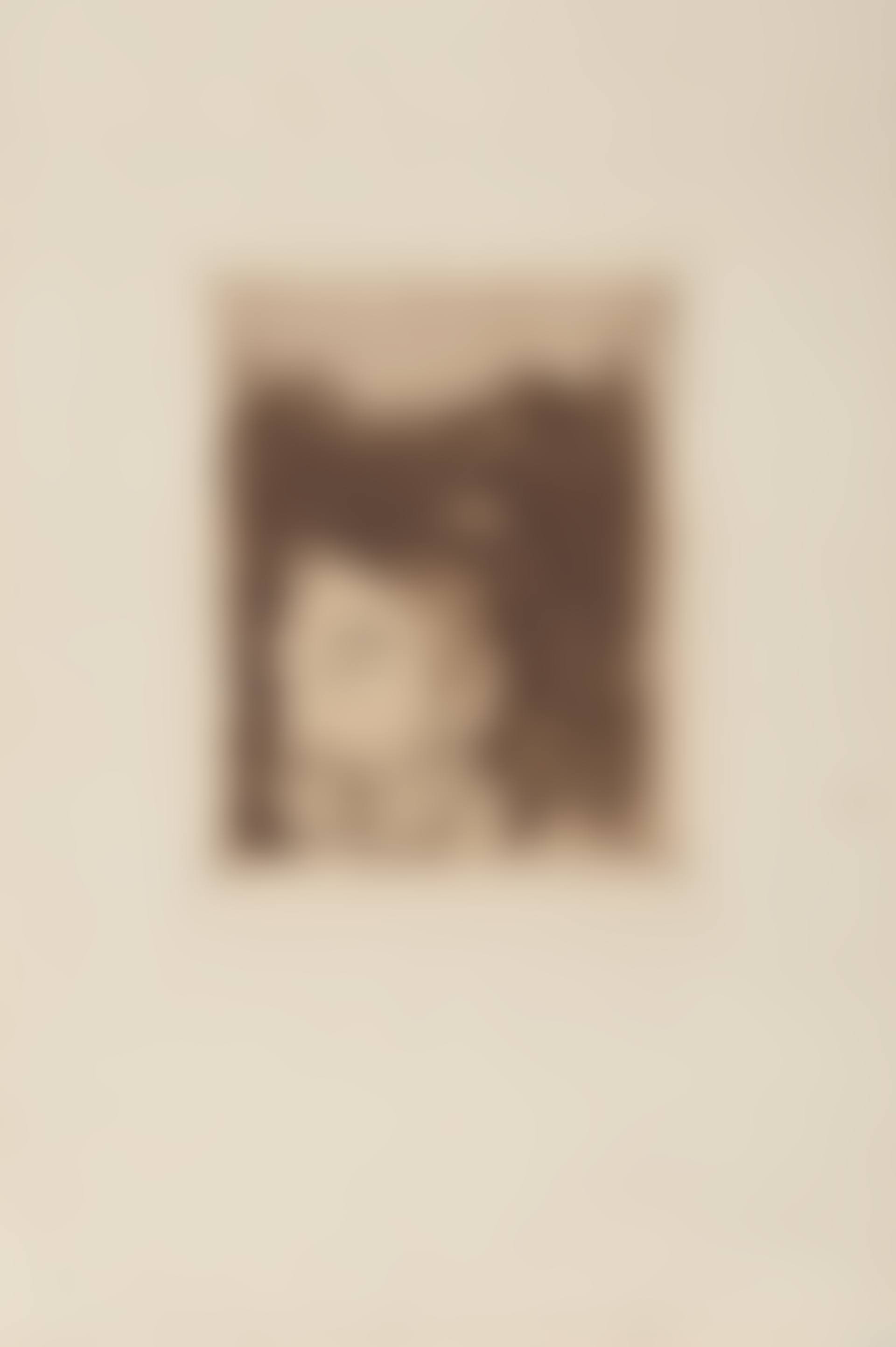 Portrait de Stéphane Mallarmé (preview)