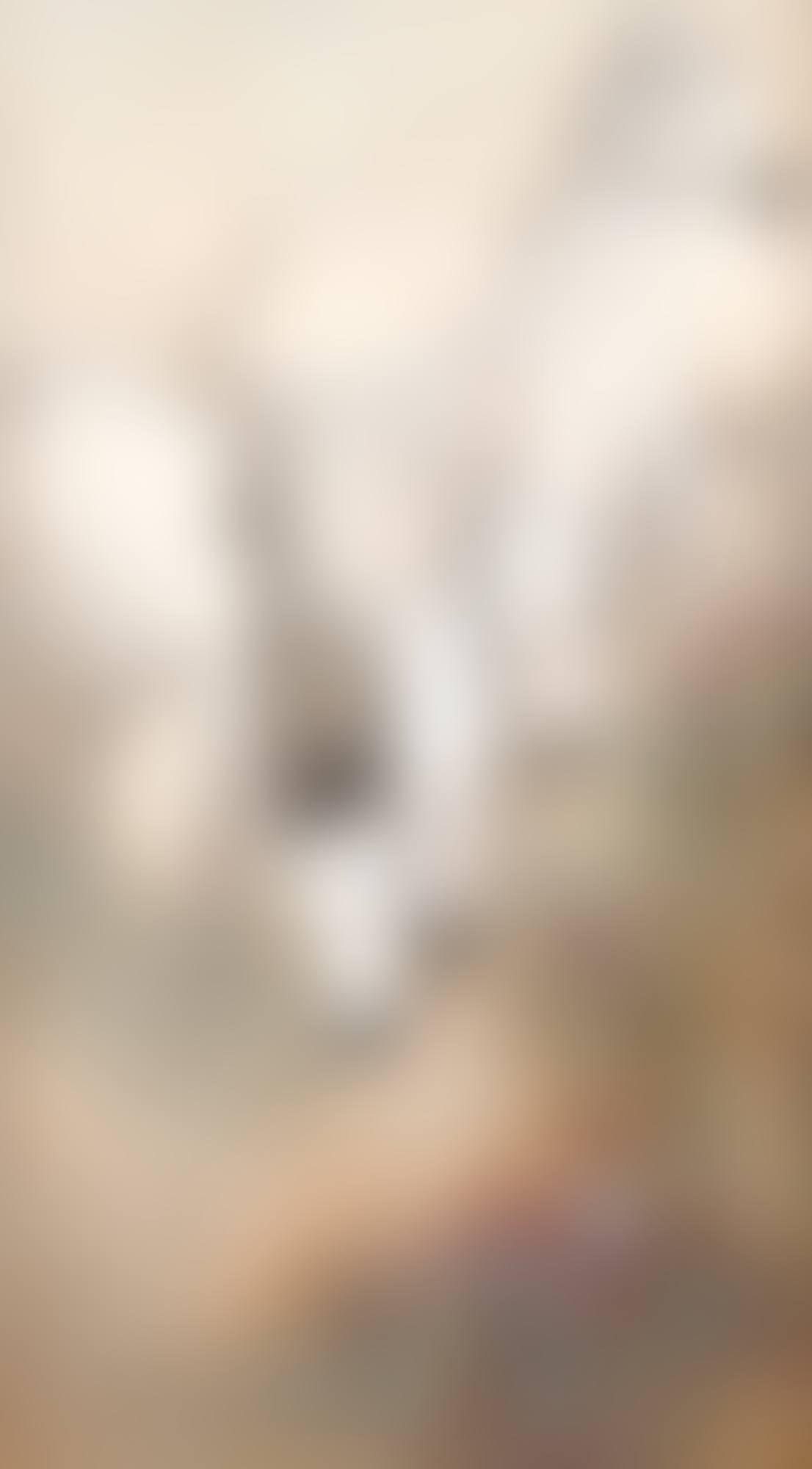 Drinking horses (preview)