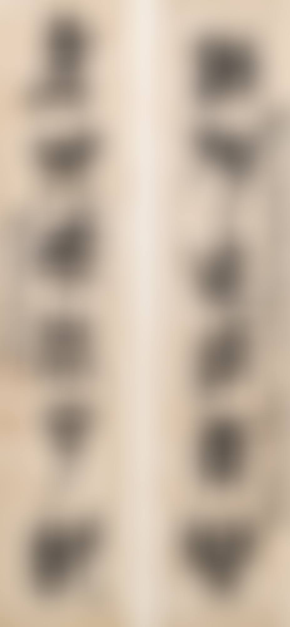Couplet (preview)