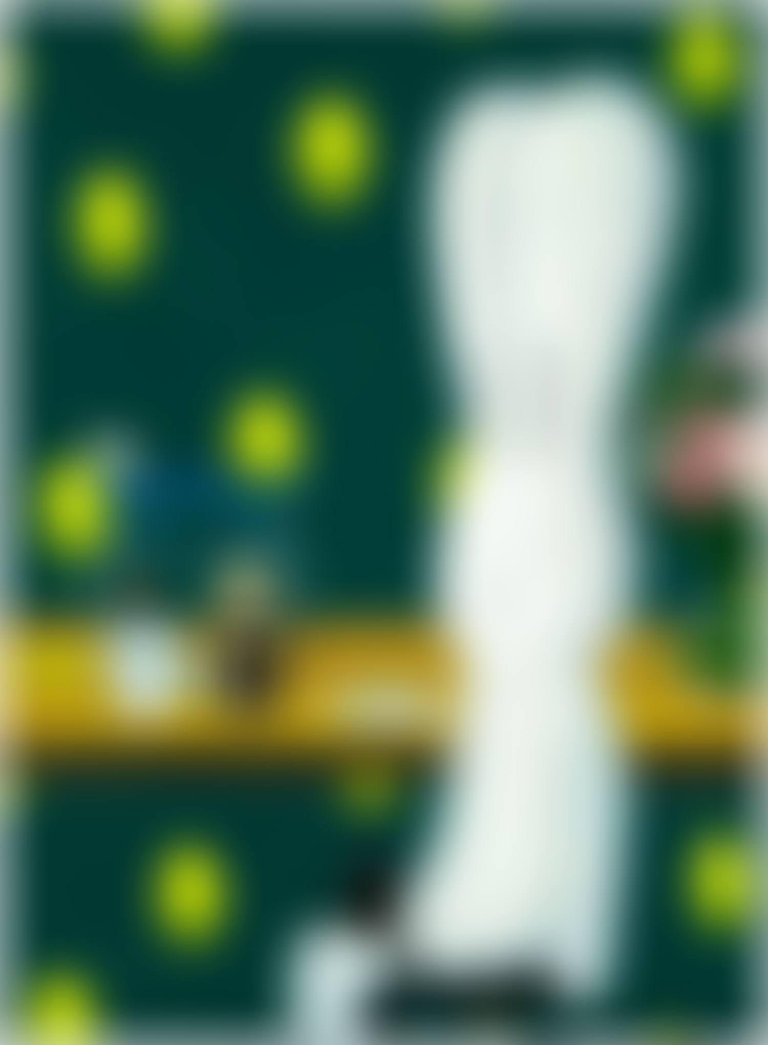 Lemons, Macarons and A Black Cat (preview)