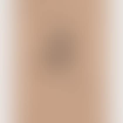Victor Hugo de face (preview)