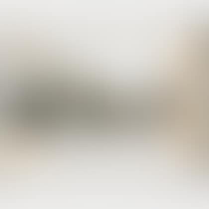 The Pont Neuf Wrapped/Project for Paris (preview)
