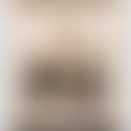 Landscape en Grisaille. (preview)