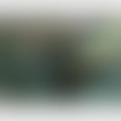 Moonlit Wonder (preview)