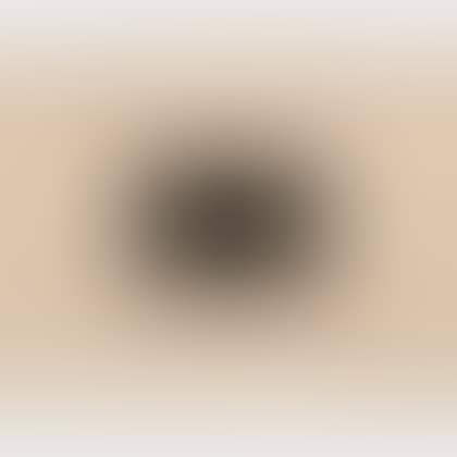 Untitled (American Flag) (preview)