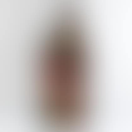 Painted Iron Shooting Gallery Target (preview)