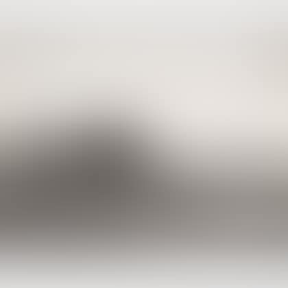Charcoal Sandpaper Picture of Boston Common (preview)