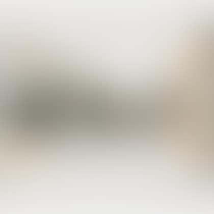The Pont Neuf Wrapped/Project for Paris (preview)
