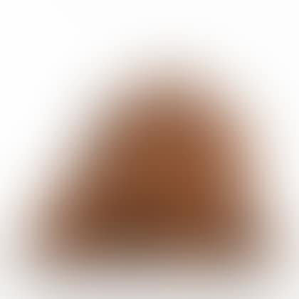 Profile Canto (preview)