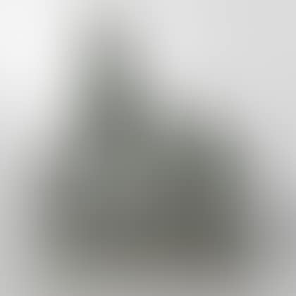 New Horizons (preview)