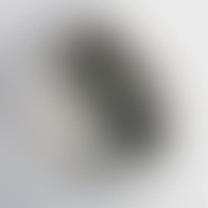 Bird with Worm (preview)