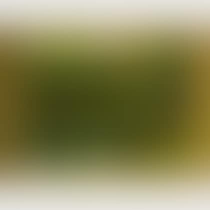 Landscape with Pond (preview)
