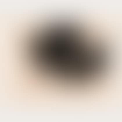 Untitled , plate 23 from the Octavio Paz Suite (preview)