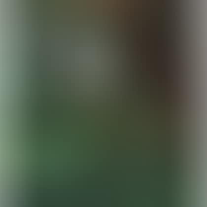 Cambridge (preview)