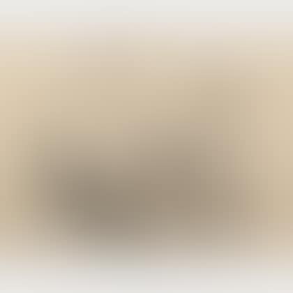 Stillleben, from the DIE SCHAFFENDEN Portfolio (preview)