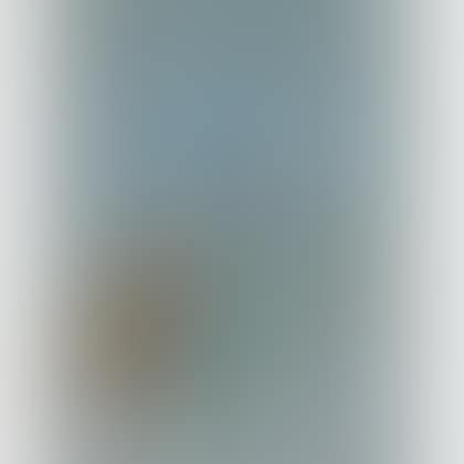 Untitled #13 (preview)
