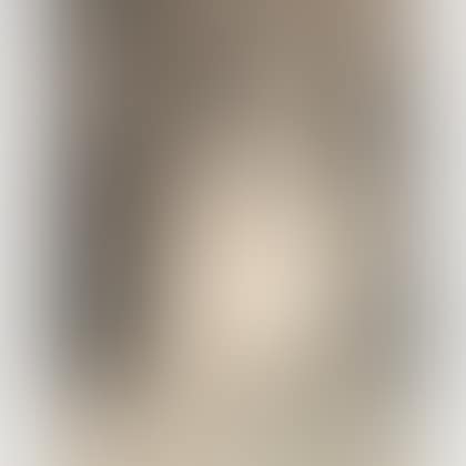 Fox Terrier (preview)