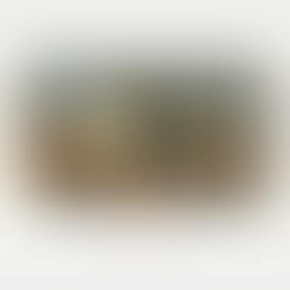 Nature morte (preview)