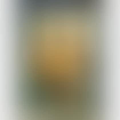 Leisure (preview)