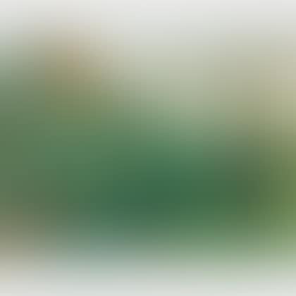 Tropical Landscape (preview)